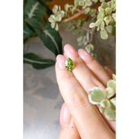 2.78 Ct. Peridot from Madagascar Life Style