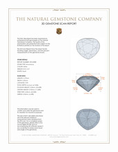 Jewelry 3 D Scan Report