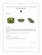 25.63 Ct. Tourmaline from Tanzania Appraisal