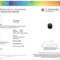 Jewelry Scan Report
