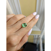 4.01 Ct. Tourmaline from Madagascar Life Style