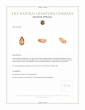 1.75 Ct. Topaz from Brazil Appraisal