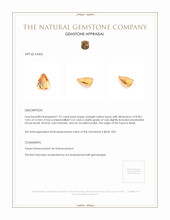 1.91 Ct. Topaz from Brazil Appraisal