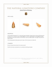 4.19 Ct. Precious Topaz from Brazil Appraisal