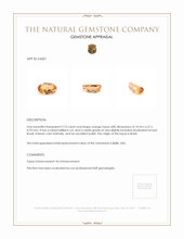 2.75 Ct. Topaz from Brazil Appraisal