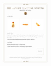 2.91 Ct. Imperial Topaz from Brazil Appraisal