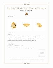 4.19 Ct. Topaz from Brazil Appraisal