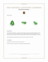 Jewelry Appraisal