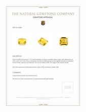 1.73 Ct. Topaz from Brazil Appraisal