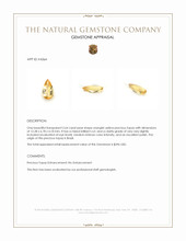 2.64 Ct. Precious Topaz from Brazil Appraisal