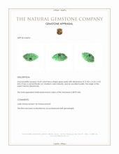 10.69 Ct. Green Jade from Burma (Myanmar) Appraisal