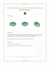17.48 Ct. Cabochon Jade from Burma (Myanmar) Appraisal