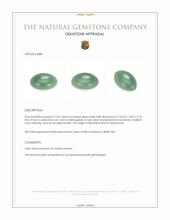 21.62 Ct. Green Cabochon Jade from Burma (Myanmar) Appraisal