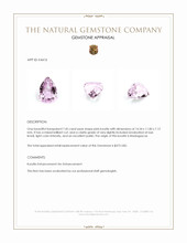 7.45 Ct. Kunzite from Madagascar Appraisal