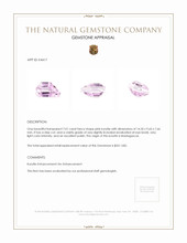 7.01 Ct. Kunzite from Madagascar Appraisal