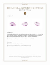 7.01 Ct. Kunzite from Madagascar Appraisal