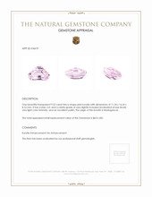 9.52 Ct. Kunzite from Madagascar Appraisal