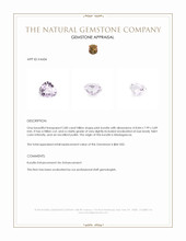 2.80 Ct. Kunzite from Madagascar Appraisal