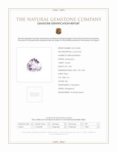 Jewelry Scan Report