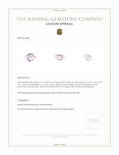 3.15 Ct. Kunzite from Madagascar Appraisal