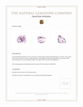 3.25 Ct. Kunzite from Madagascar Appraisal