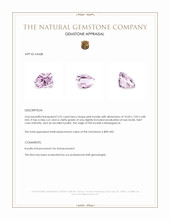 3.25 Ct. Kunzite from Madagascar Appraisal