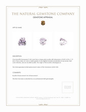 3.40 Ct. Kunzite from Madagascar Appraisal