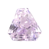 3.42 Ct. Kunzite from Madagascar Video