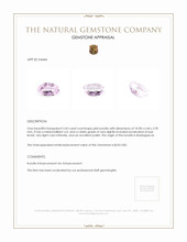 3.43 Ct. Kunzite from Madagascar Appraisal