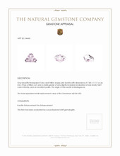 3.46 Ct. Kunzite from Madagascar Appraisal