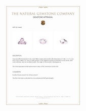 3.46 Ct. Kunzite from Madagascar Appraisal