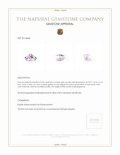 3.59 Ct. Kunzite from Madagascar Appraisal