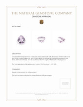 3.62 Ct. Kunzite from Madagascar Appraisal