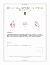 10.75 Ct. Kunzite from Madagascar Appraisal