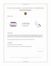 13.82 Ct. Kunzite from Madagascar Appraisal