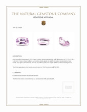 15.19 Ct. Kunzite from Madagascar Appraisal
