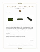3.04 Ct. Tourmaline from Brazil Appraisal
