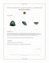 3.00 Ct. Tourmaline from Brazil Appraisal
