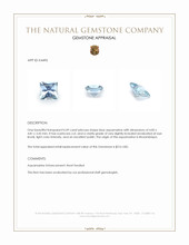 0.49 Ct. Blue Aquamarine from Mozambique Appraisal