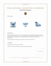 0.57 Ct. Aquamarine from Mozambique Appraisal