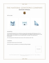 0.63 Ct. Aquamarine from Mozambique Appraisal