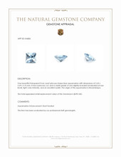 0.66 Ct. Aquamarine from Mozambique Appraisal