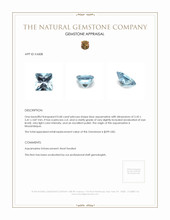 0.68 Ct. Aquamarine from Mozambique Appraisal