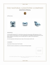 0.73 Ct. Aquamarine from Mozambique Appraisal