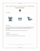 0.73 Ct. Aquamarine from Mozambique Appraisal