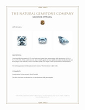 0.73 Ct. Aquamarine from Mozambique Appraisal