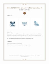 0.74 Ct. Aquamarine from Mozambique Appraisal