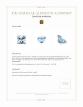 0.81 Ct. Aquamarine from Mozambique Appraisal