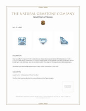 0.83 Ct. Aquamarine from Mozambique Appraisal