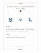 0.84 Ct. Blue Aquamarine from Mozambique Appraisal